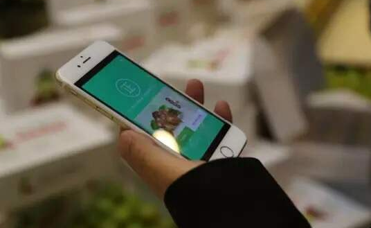 中藥飲片生產信息追溯管理系統(tǒng) 中藥飲片生產信息追溯管理系統(tǒng)實現的意義和價值