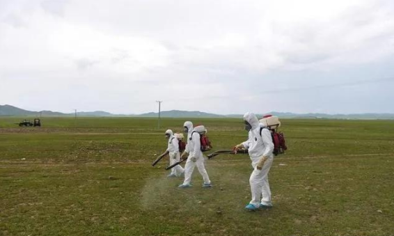 蝗災(zāi)來(lái)襲，農(nóng)藥獸藥防偽溯源面臨機(jī)遇和挑戰(zhàn)